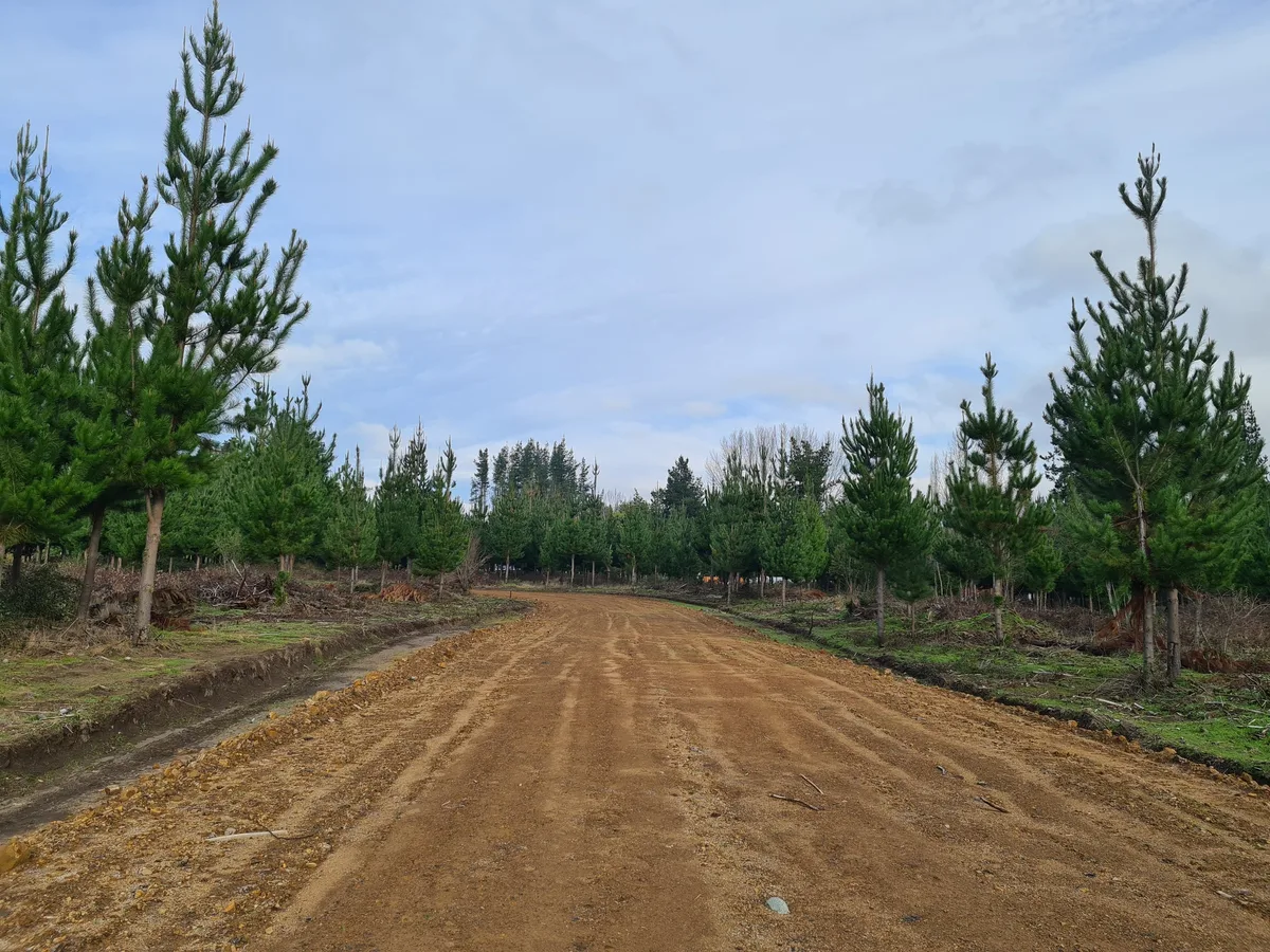 Camino interior de tierra terminado en Condominio Santa Clara
